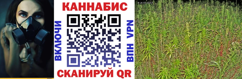 Как найти закладки Динская Конопля Кокаин ГАШ Мефедрон