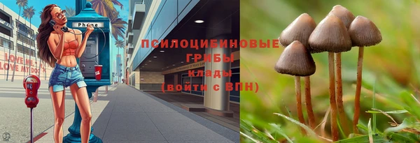 шишки Бугульма