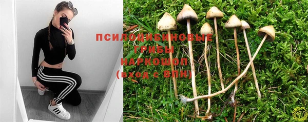 стаф Бородино