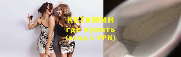 стаф Бородино