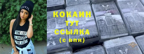 стаф Бородино