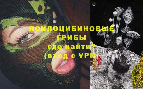 стаф Бородино
