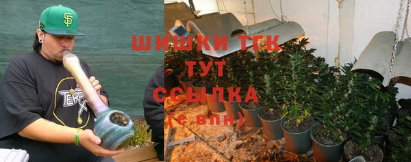 стаф Бородино