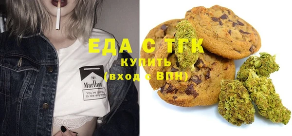 стаф Бородино