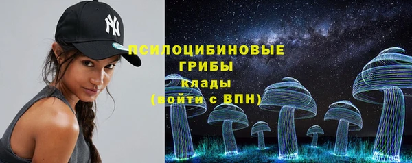 стаф Бородино