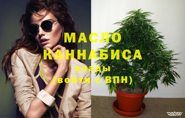 стаф Бородино